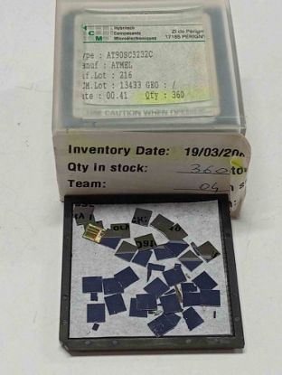 Picture of at90sc3232sc-ic